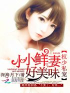 小说：权少私宠：小小鲜妻，好美味，作者：深海月下