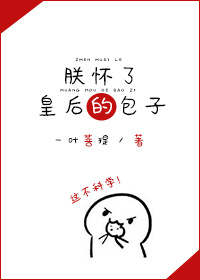 小说：朕怀了皇后的包子，作者：一叶菩提
