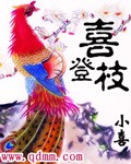 小说：喜登枝，作者：小喜