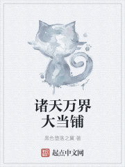 小说：诸天万界大当铺，作者：黑色堕落之翼