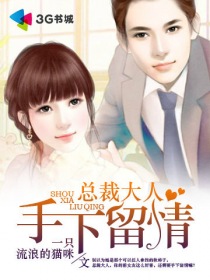 小说：总裁大人手下留情，作者：一只流浪的猫咪