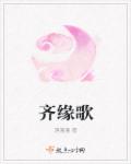 小说：齐缘歌，作者：落漫漫