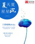 小说：夏天夏：星星沉，作者：十指暖瞳