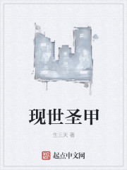 小说：现世圣甲，作者：生三天