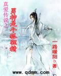 小说：男神是个狐狸精，作者：一路暖阳