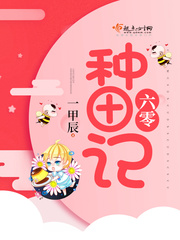 小说：六零种田记，作者：一甲辰
