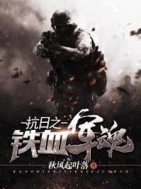 小说：抗日之铁血军魂，作者：秋风起叶落