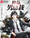 小说：极品男总裁，作者：荒野悲歌
