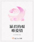 小说：暴君的艰难爱情，作者：未可预见