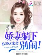 小说：BOSS来袭：娇妻躺下，别闹！，作者：莫沉引