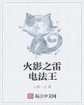 小说：火影之雷电法王，作者：认真一点