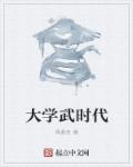 小说：大学武时代，作者：骨鼎灰