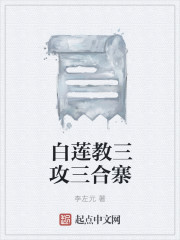 小说：白莲教三攻三合寨，作者：李左元
