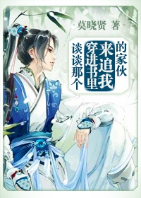 小说：谈谈那个穿进书里来追我的家伙，作者：莫晓贤
