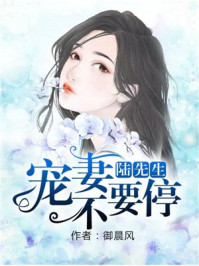 小说：陆先生，宠妻不要停，作者：御晨风