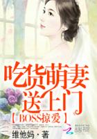 小说：BOSS掠爱：吃货萌妻送上门，作者：维他妈