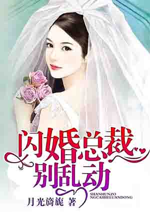 小说：闪婚总裁别乱动，作者：月光旖旎