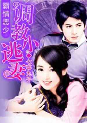 小说：宠婚小逃妻，作者：七喜丸子