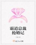 小说：霸道总裁抢婚记，作者：丹塵