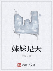 小说：妹妹是天，作者：泪眸人