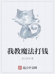 小说：我教魔法打钱，作者：音之轻语