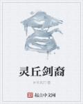 小说：灵丘剑裔，作者：岁月风刀