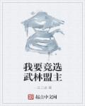 小说：我要竞选武林盟主，作者：一日三省