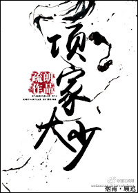 小说：项家大少，作者：疏朗