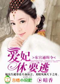 小说：东宫通缉令：爱妃休要逃，作者：暗香