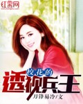 小说：校花的透视兵王，作者：刀锋易冷