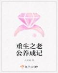 小说：重生之老公养成记，作者：大果糖