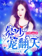 小说：隐婚1001夜：慕少，宠翻天！，作者：赵玺宝