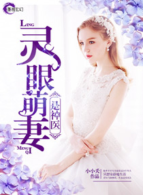 小说：灵眼萌妻是神医，作者：小小夭
