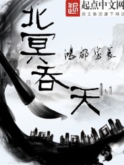 小说：北冥吞天，作者：鸿都宝篆