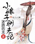 小说：小娘子驯夫记，作者：迷路的龙