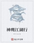 小说：神鹰江湖行，作者：青木与辰