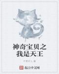 小说：神奇宝贝之我是天王，作者：不是坏人