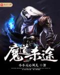 小说：魔道杀途，作者：小小无心风儿