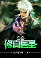 小说：都市修真医圣，作者：漂浮的气球2