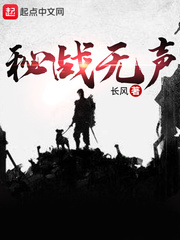 小说：秘战无声，作者：长风