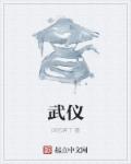 小说：武仪，作者：回忆碎了
