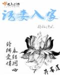 小说：诱妻入家，作者：扬起清风