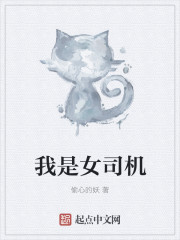 小说：我是女司机，作者：偷心的妖