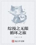 小说：综漫之无限循环之旅，作者：白昼小乐