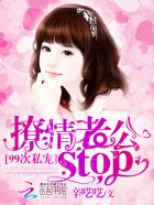 小说：99次私宠：撩情总裁，stop，作者：辛呓呓