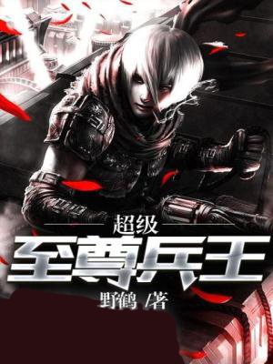 小说：超级至尊兵王，作者：野鹤