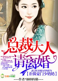 小说：拒做豪门少奶奶，总裁大人请离婚，作者：抽烟的猫