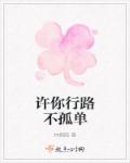 小说：许你行路不孤单，作者：林枫晓