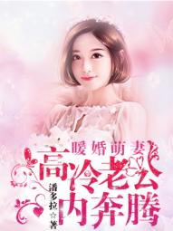 小说：暖婚萌妻：高冷老公内奔腾，作者：潘多拉