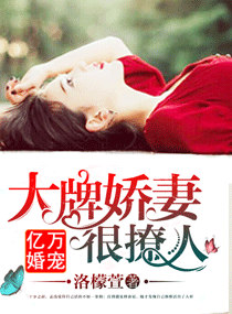 小说：亿万婚宠：大牌娇妻很撩人，作者：洛檬萱